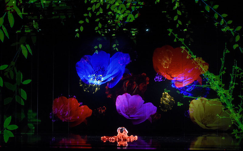 A projection of brightly colored poppies illuminate the stage